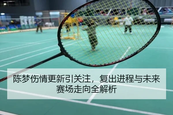 陈梦伤情更新引关注，复出进程与未来赛场走向全解析